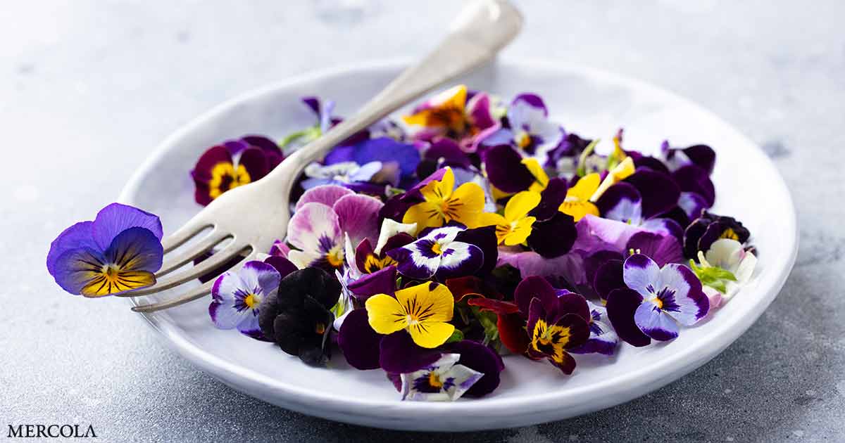 Edible Flowers – Nature’s Secret Health Powerhouses