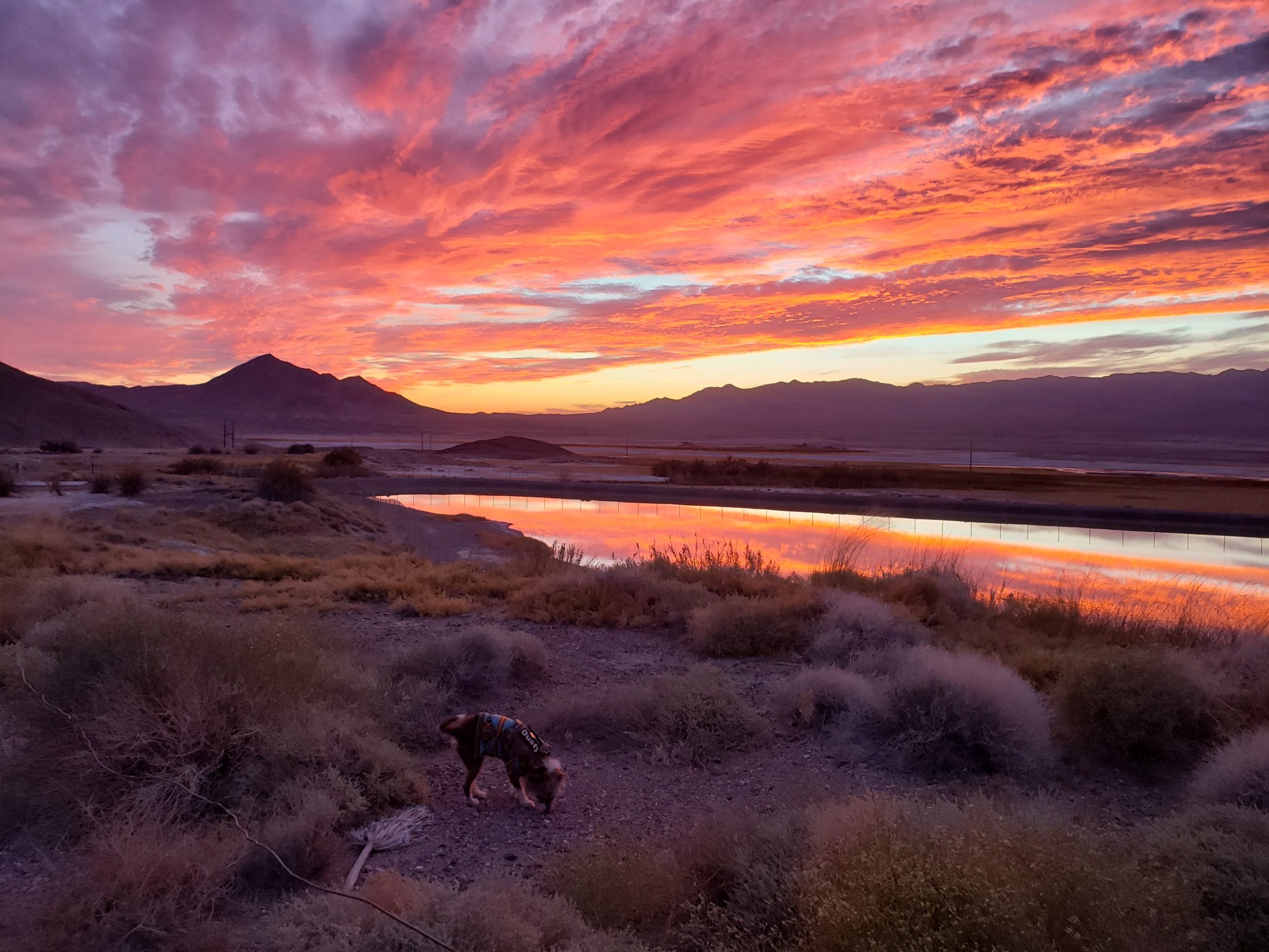 Hyperlinks 6/21/2025 | bare capitalism