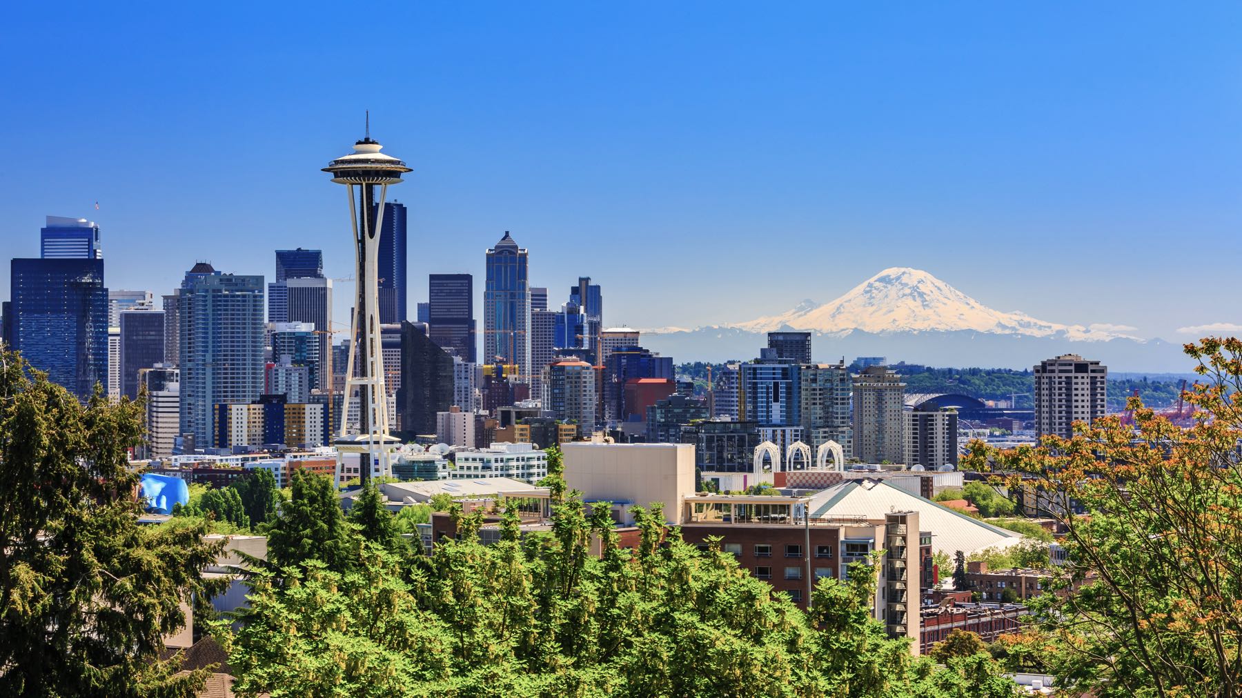 15 Best Things to Do in Seattle (Must-See Places)