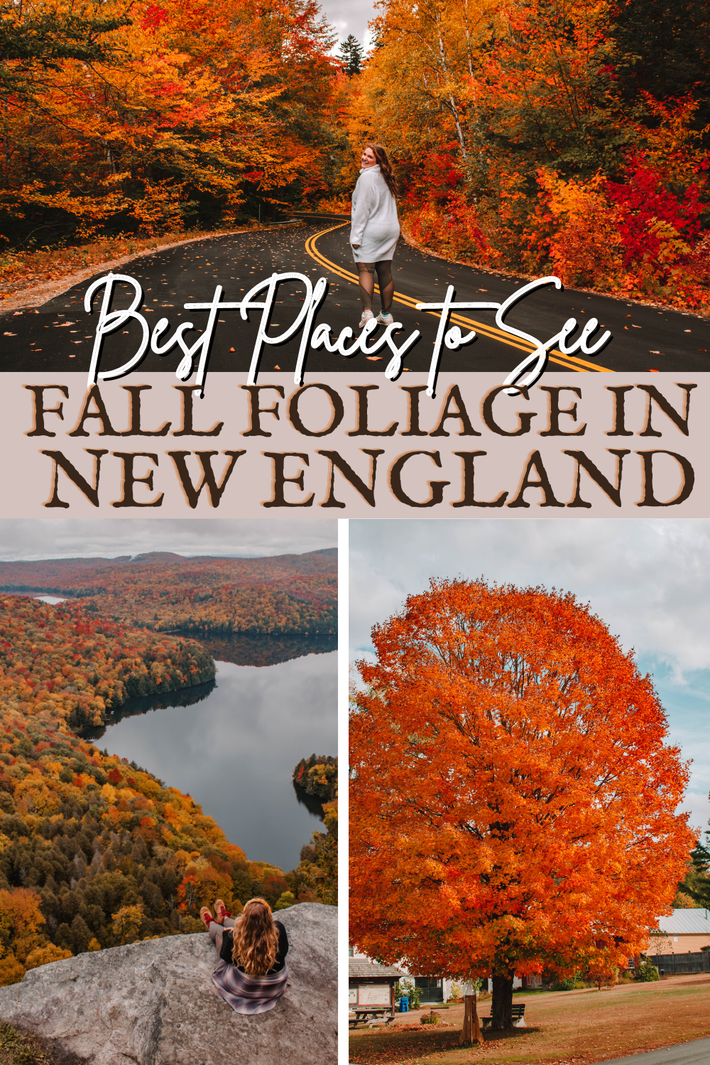 Greatest Locations to See Fall Foliage in New England: Cities, Farms, Leaves, Festivals and Extra!