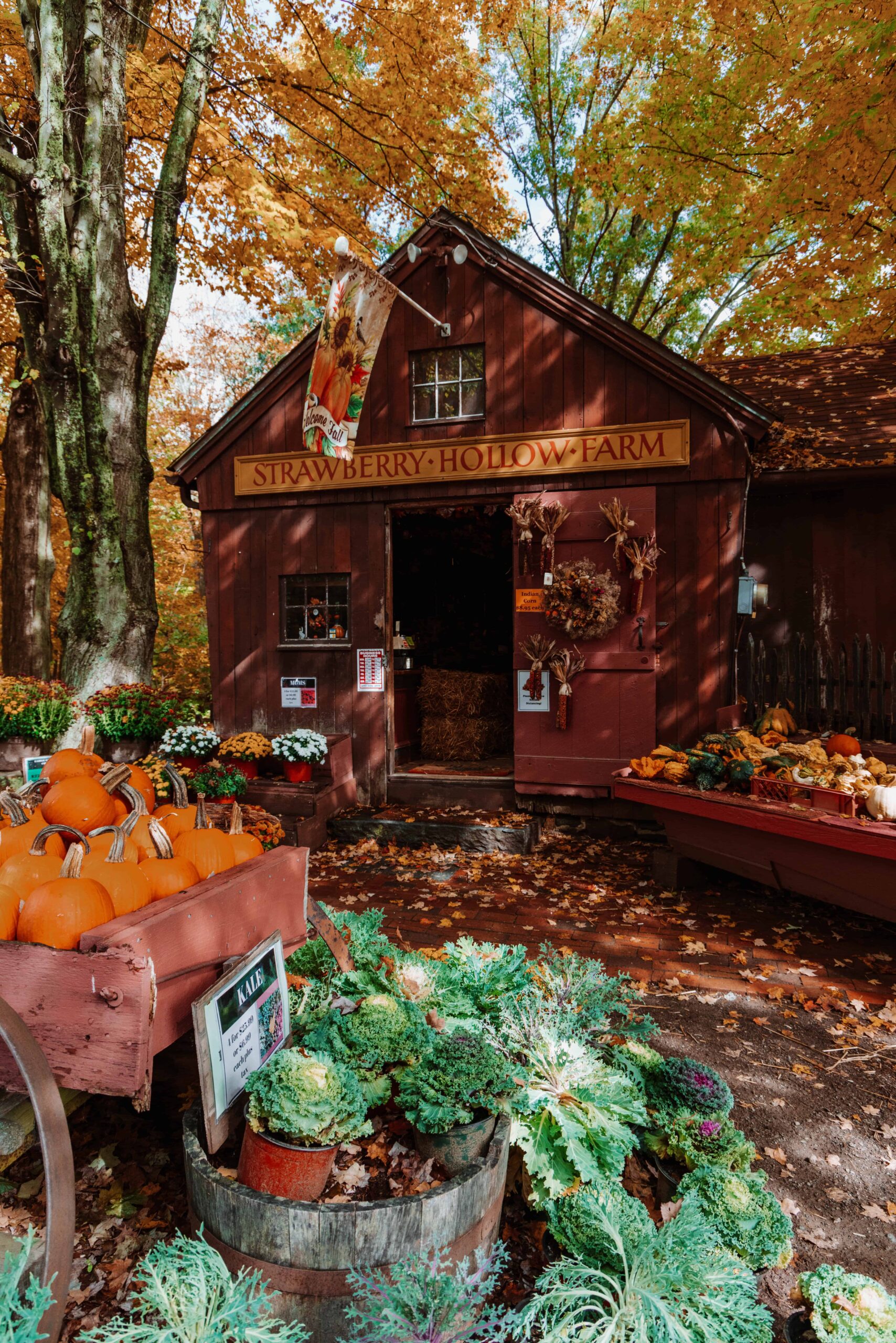 The Best Farms in New England for Fall
