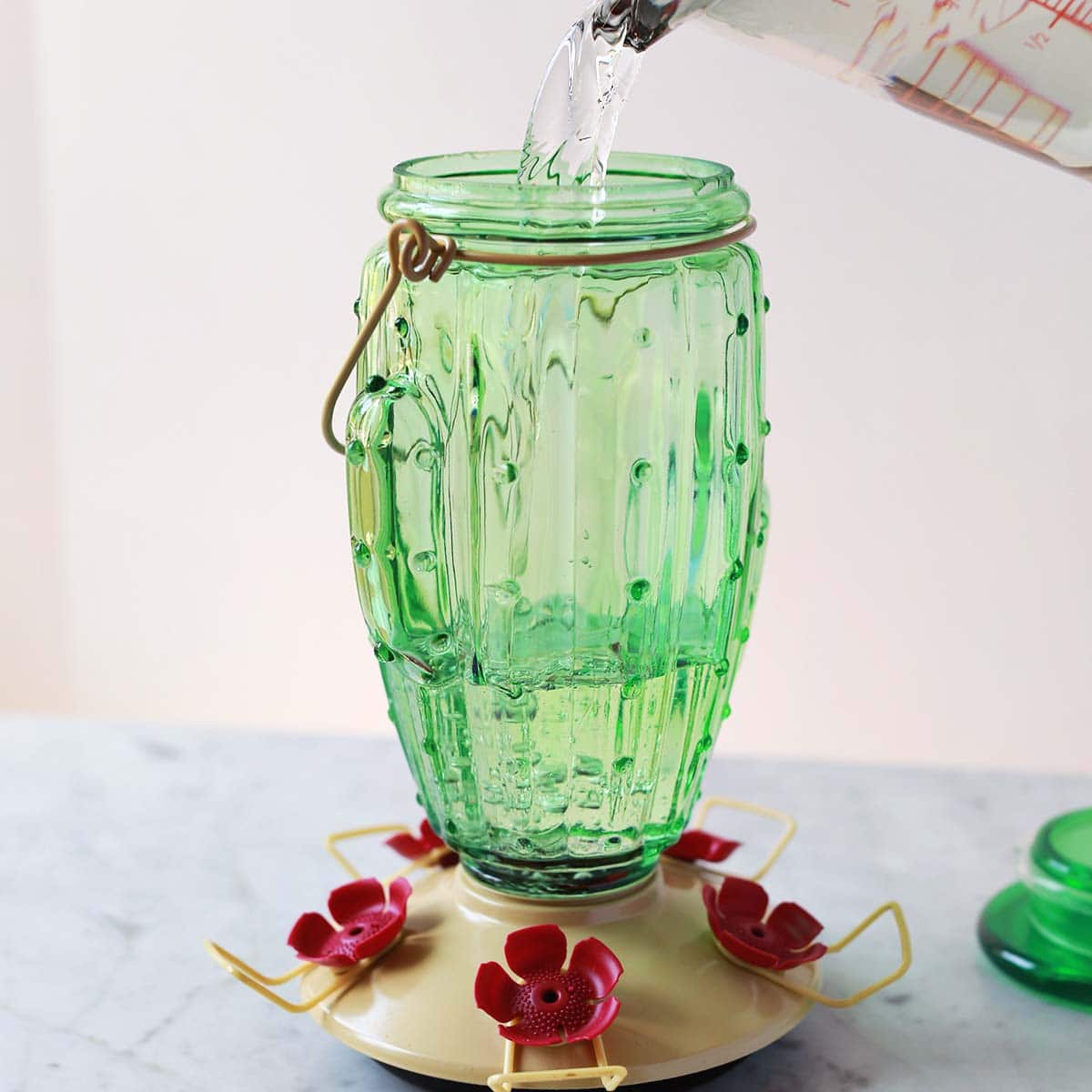 Hummingbird Food – A Beautiful Mess