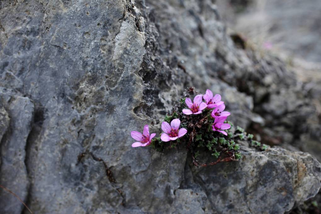 It’s Tough World. Here’s How Parents Can Raise Resilient Kids