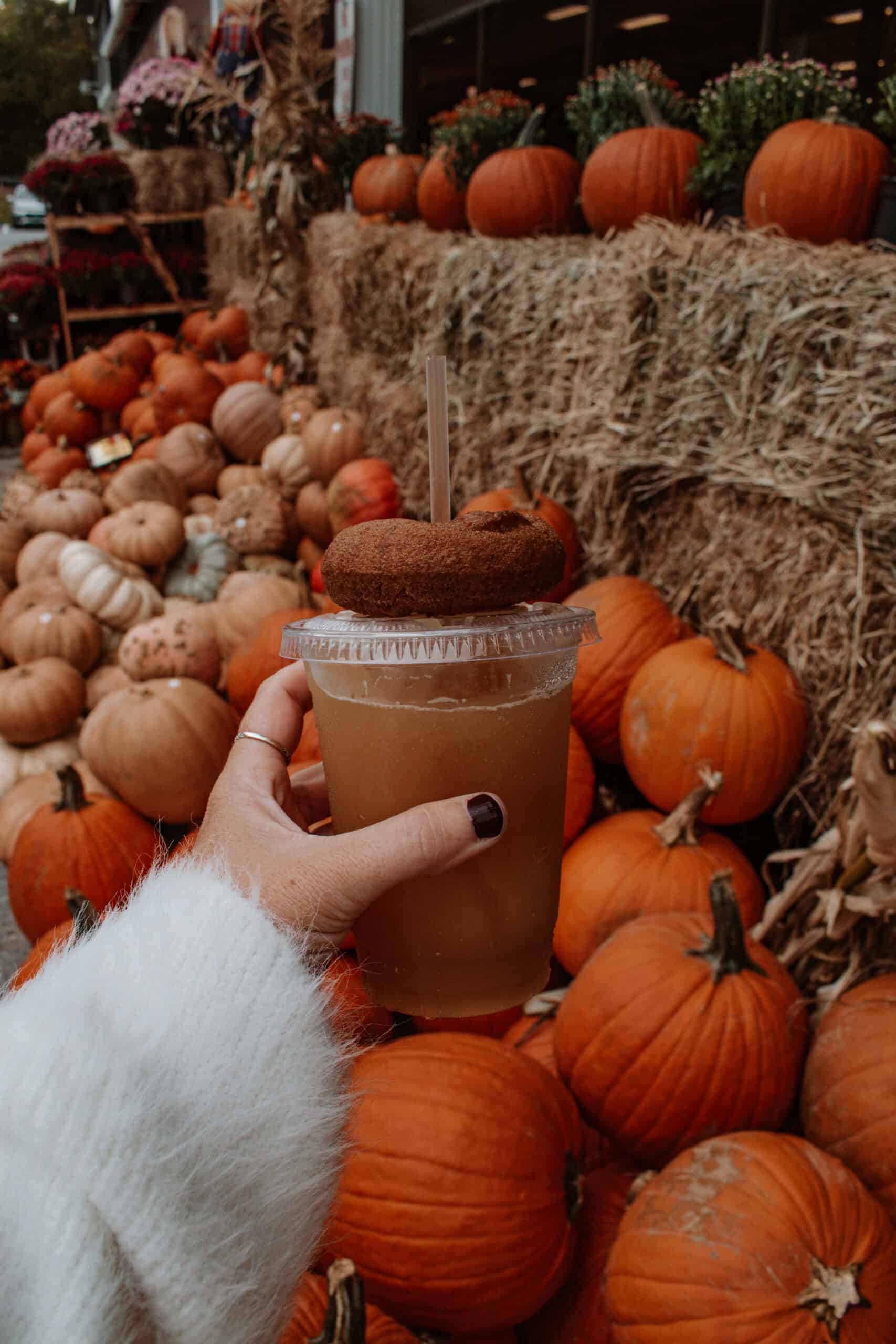 New England Fall Bucket Listing