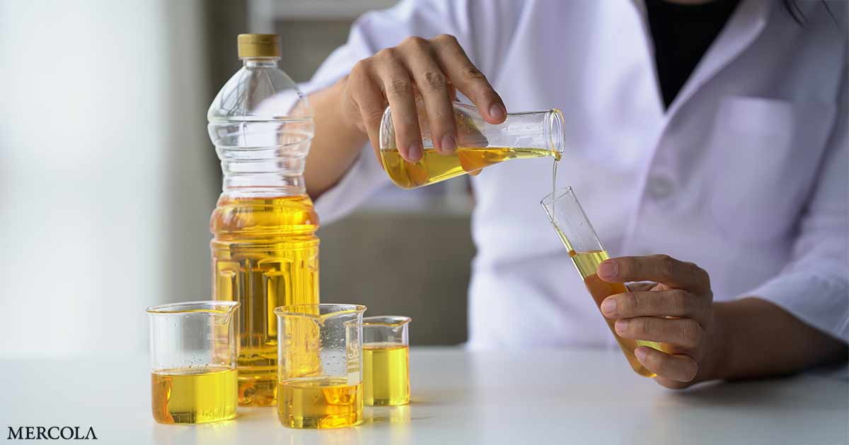 Omega-6 Linoleic Acid in Our Meals System