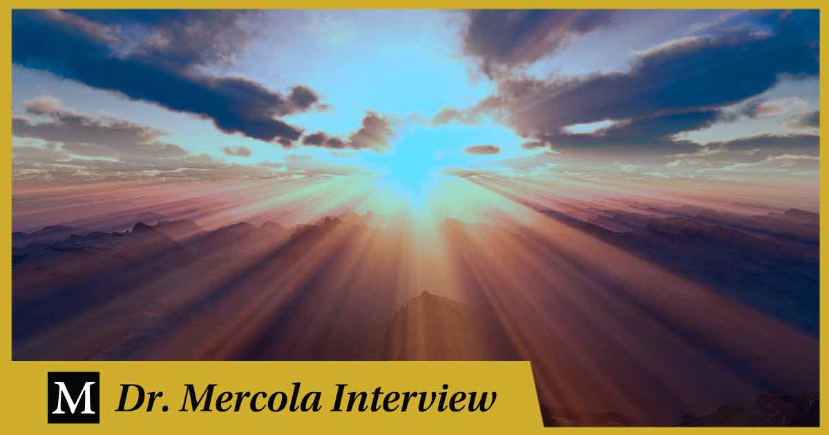 The Energy of Gentle, Mitochondria, and Circadian Rhythms