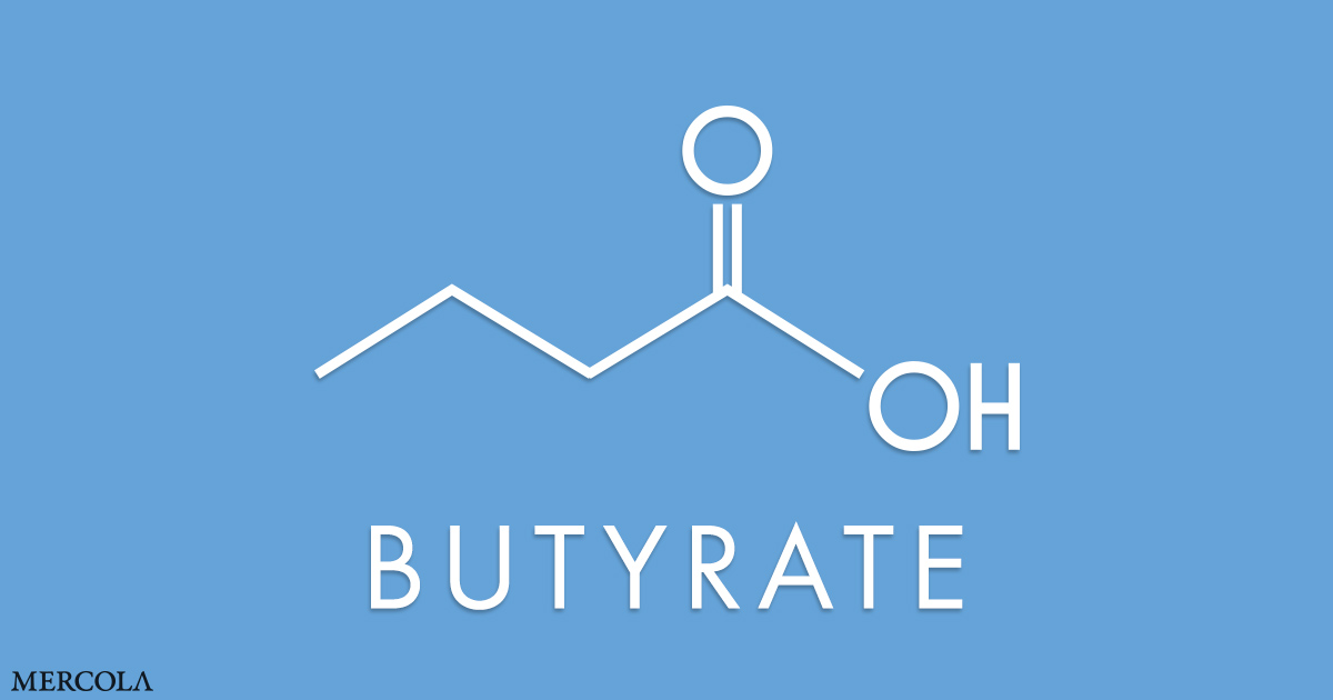 Understanding Butyrate – The Key to Optimum Well being and Properly-Being