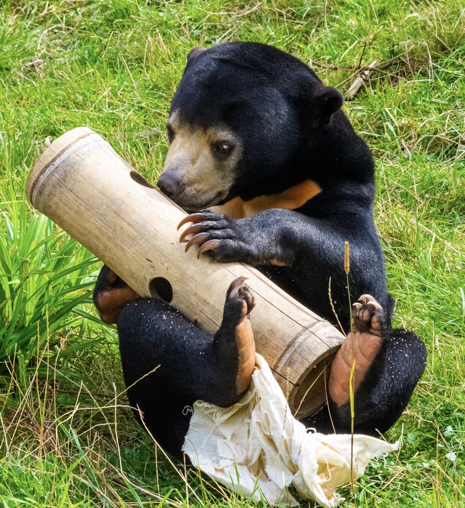 Links 7/5/2025 | naked capitalism