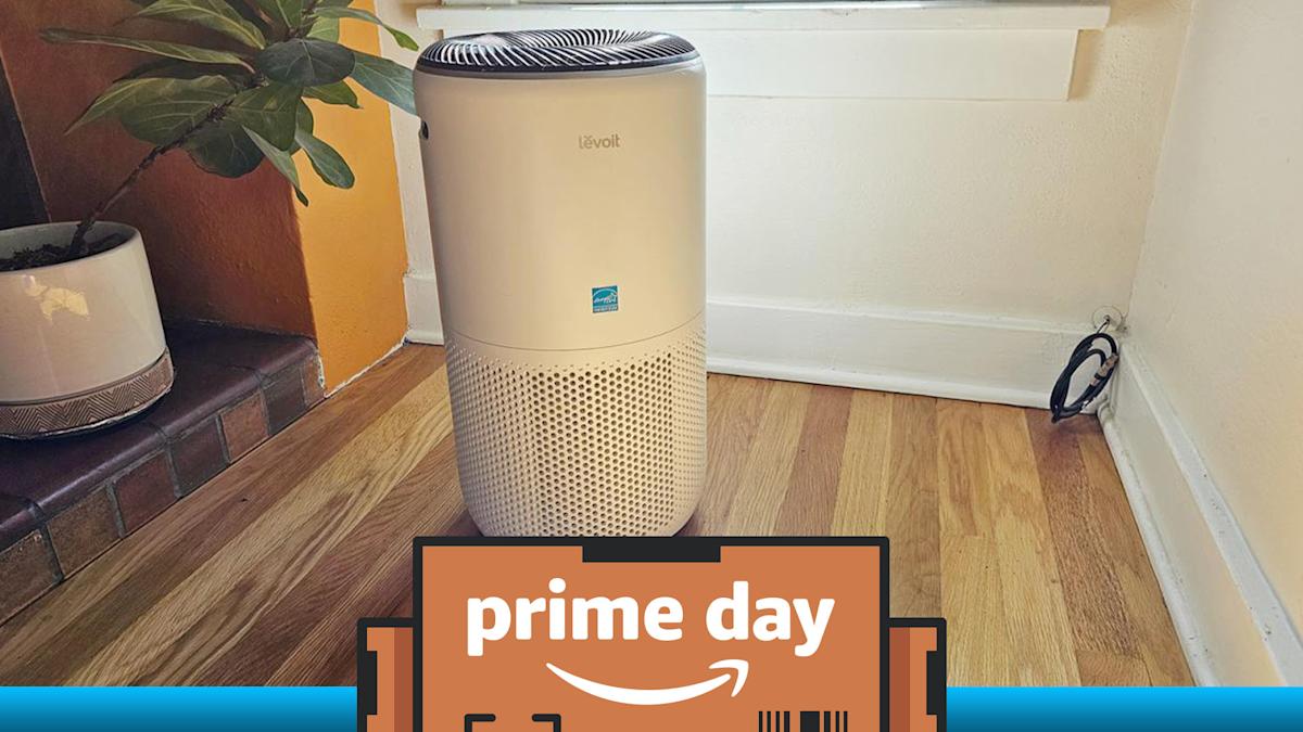 Our favourite sensible air air purifier remains to be out there for $37 off on this Prime Day deal