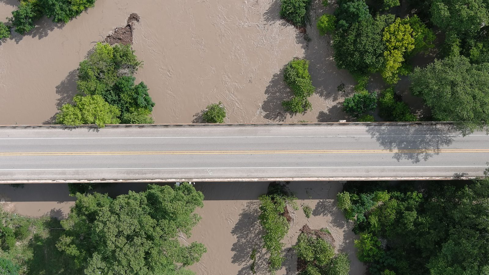 Expensive Instructor Dealing With the Aftermath of a Pure Catastrophe