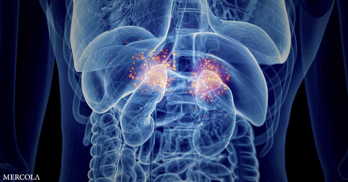 Constantly Exhausted? Don't Blame 'Adrenal Fatigue'