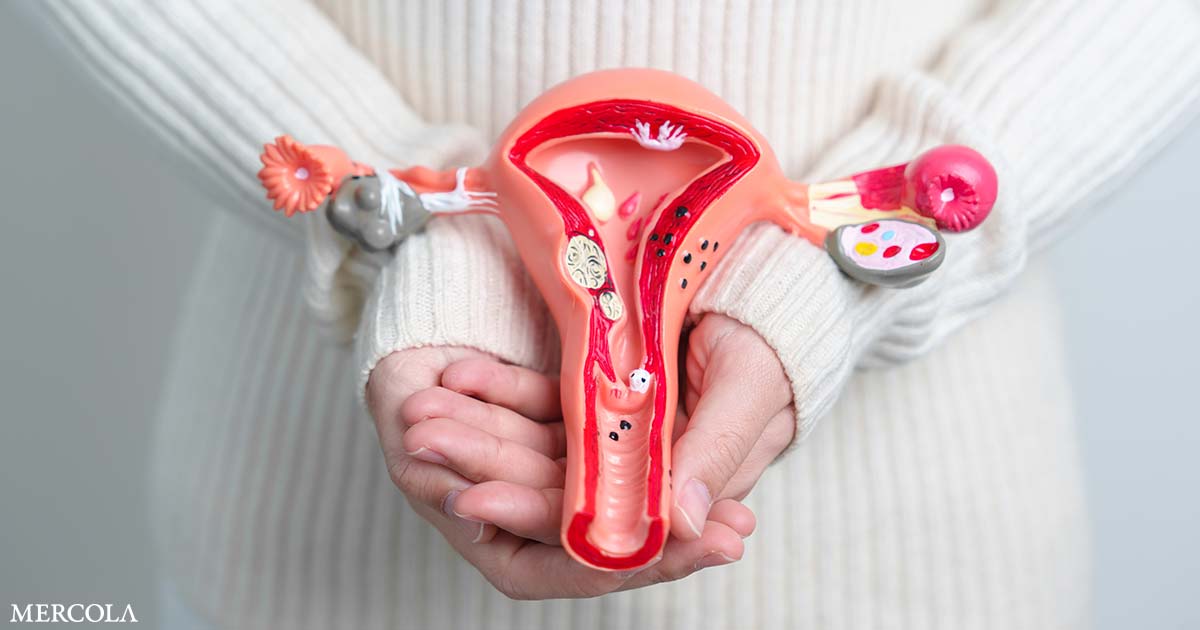 Examine Finds Elevated Cardiovascular Threat After Early Hysterectomy