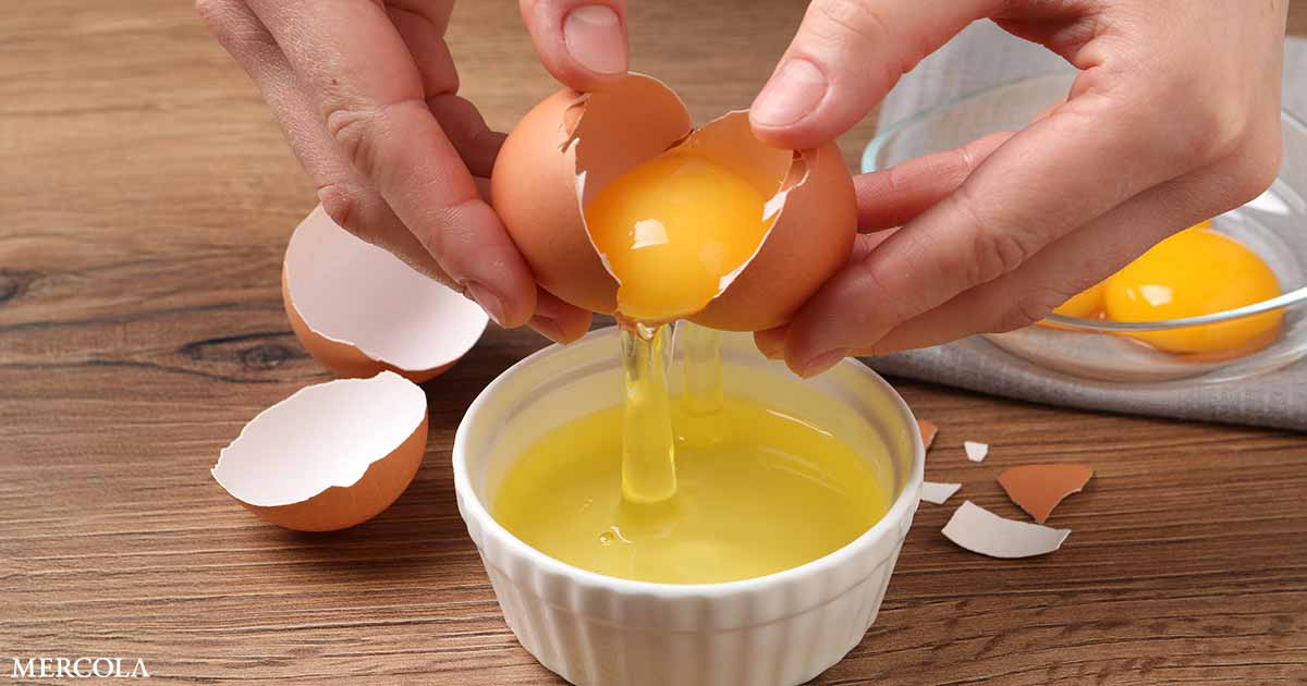 Egg Whites Discovered to Assist Decrease Blood Strain