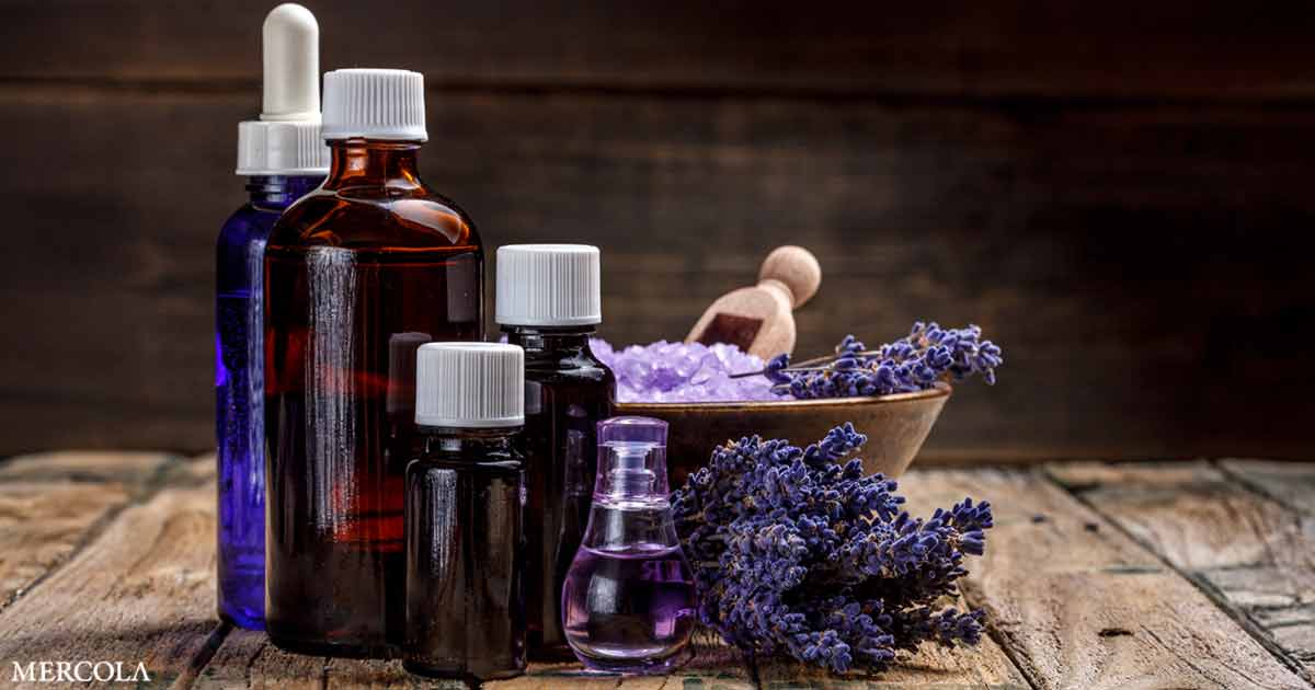Important Oils to Assist You Get Some Relaxation
