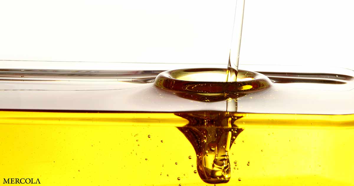 Fed a Lie – The Fact About Seed Oils