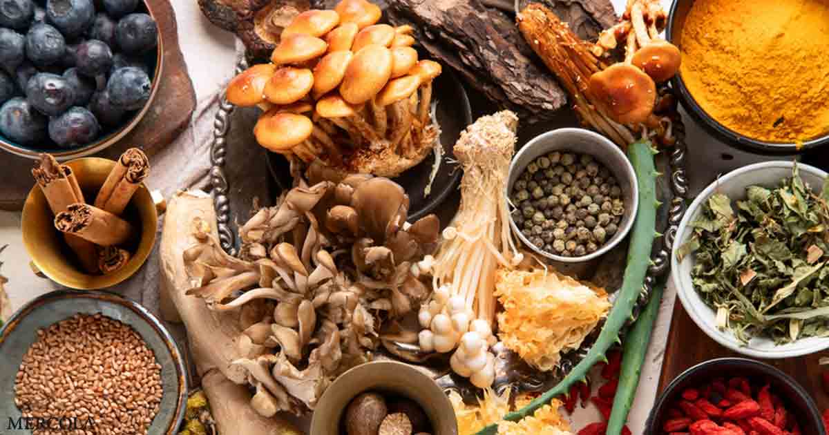 Fiber Found in Everyday Foods Helps Remove Forever Chemicals from Your Body