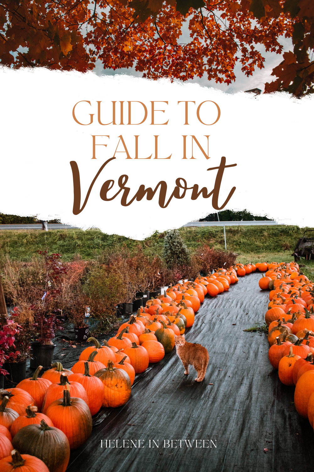 Fall in Vermont: Best Places for a Foliage Road Trip