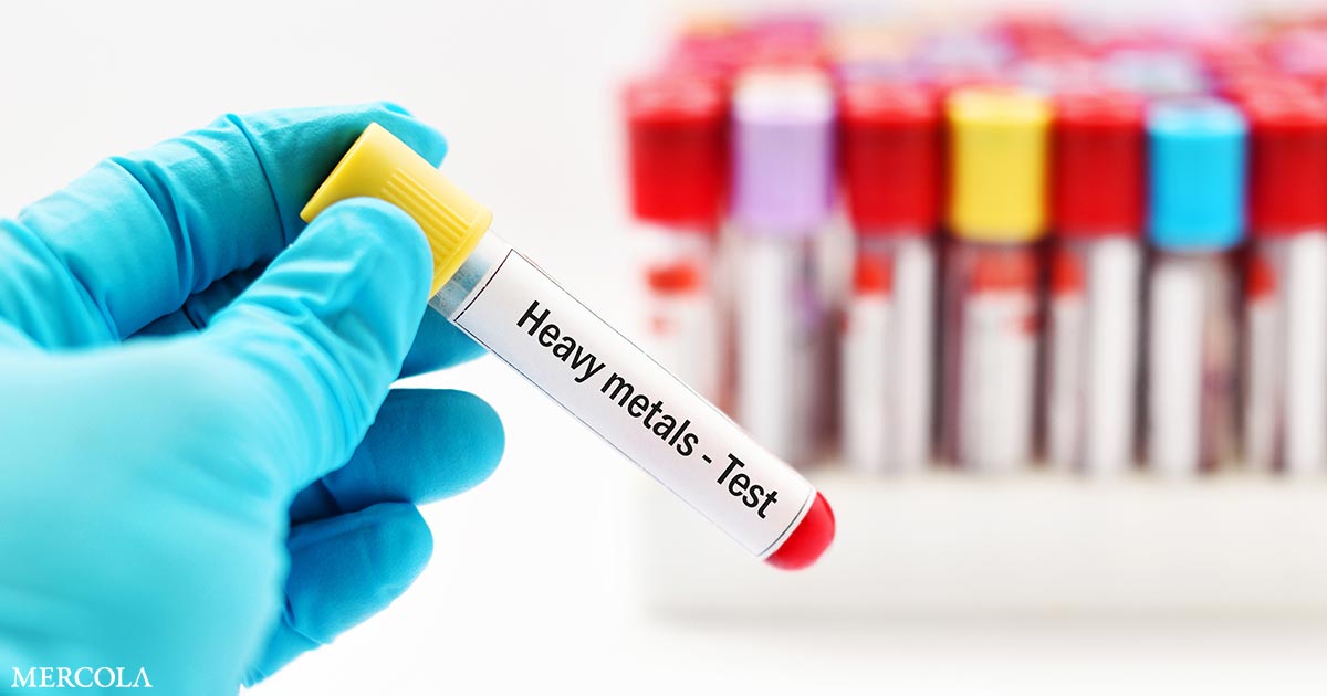 Metallic Publicity Linked to Childhood Intestine Well being