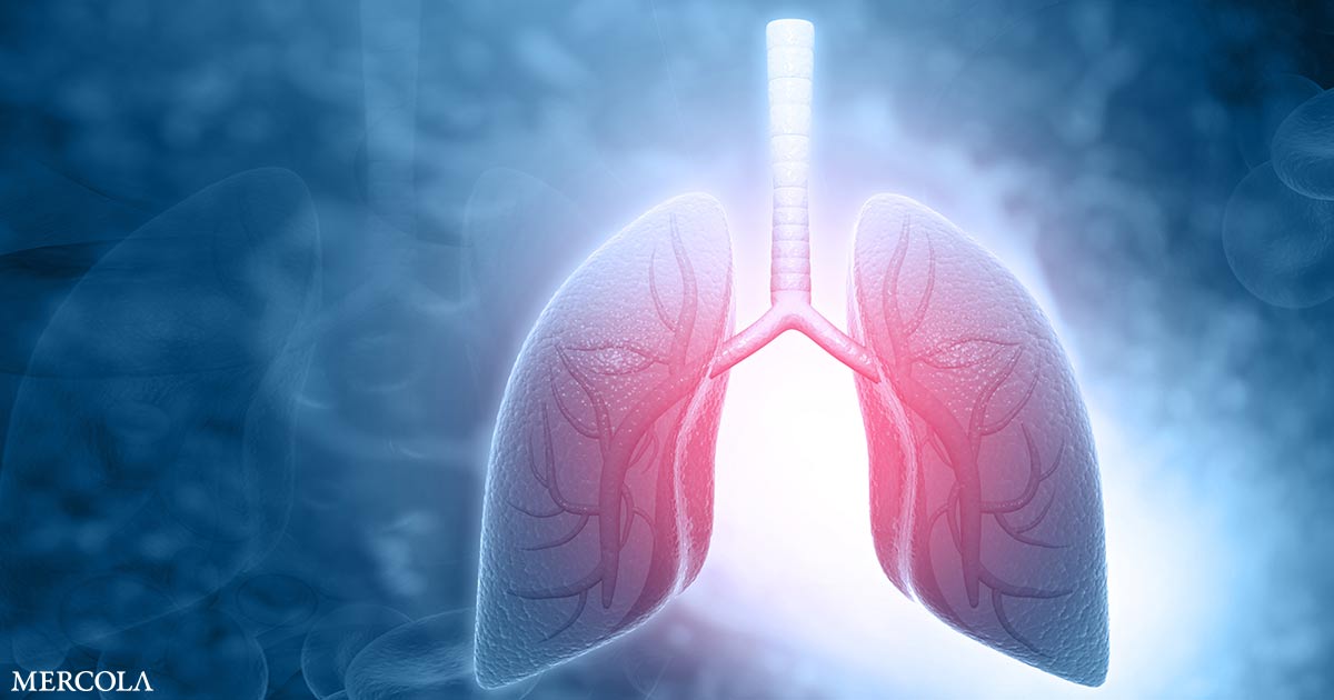 Inhaled Microplastics Impair Lung Immunity and Spread to Organs