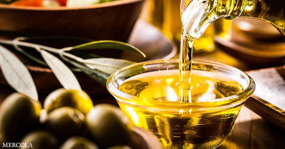 New Research Claims Olive Oil Drives Obesity to Greater Extent Than Other Fats