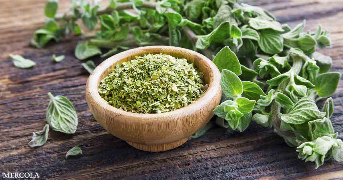 Oregano Supports Overall Wellness in Different Ways