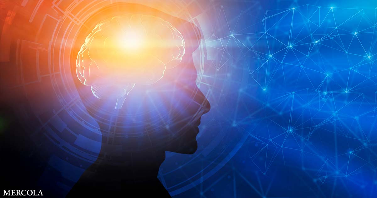 Vitamin B1 Enhances Motivation for Exercise by Raising Dopamine