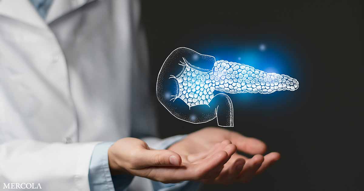 Vitamin B12 Protects Pancreatic Cells During Acute Pancreatitis