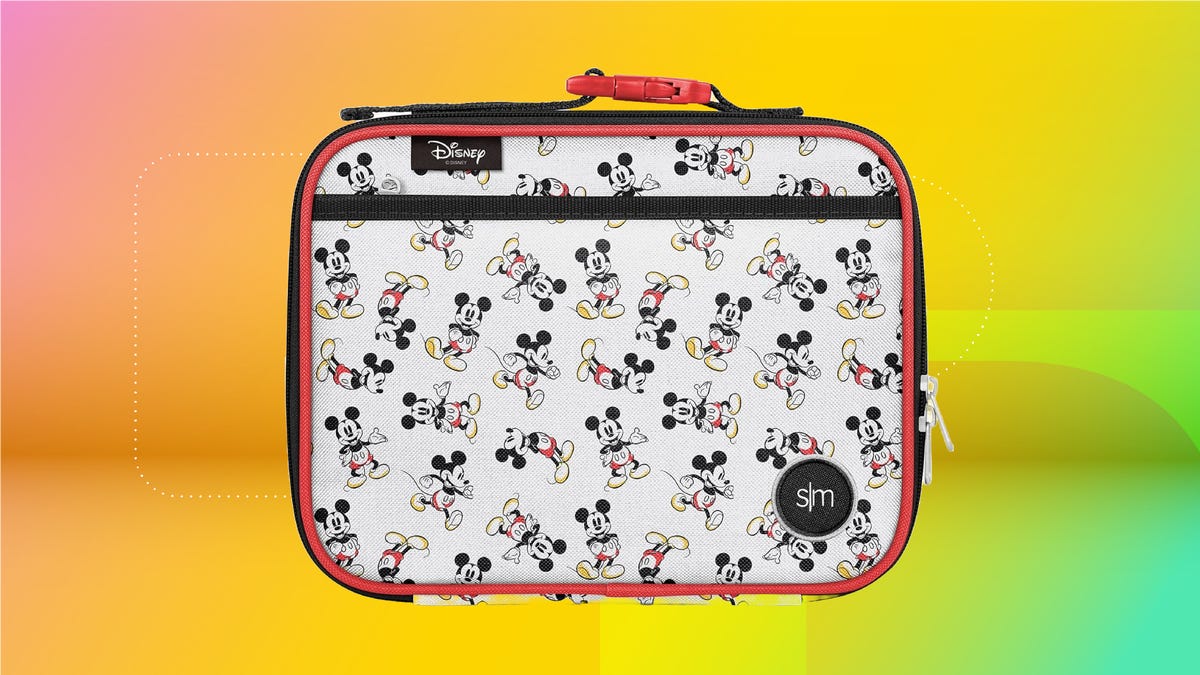 Best Lunch Boxes and Backpacks for the 2025 School Year