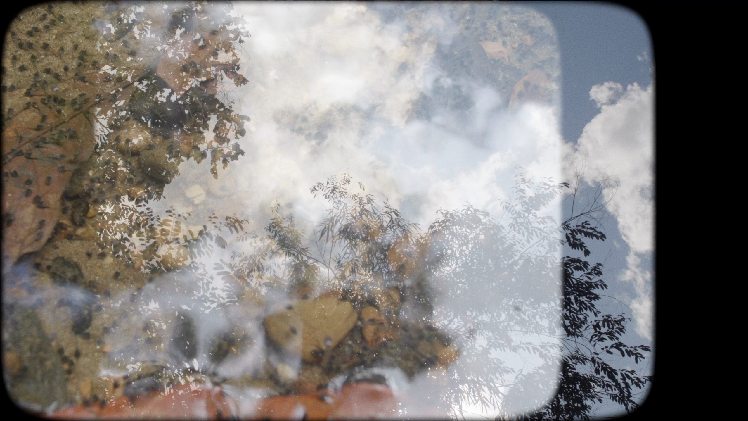 Hyperallergic Fall 2025 New York Art Guide