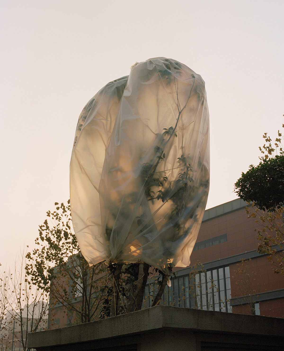 “Endless Dreams” by Photographer Yufei Ma