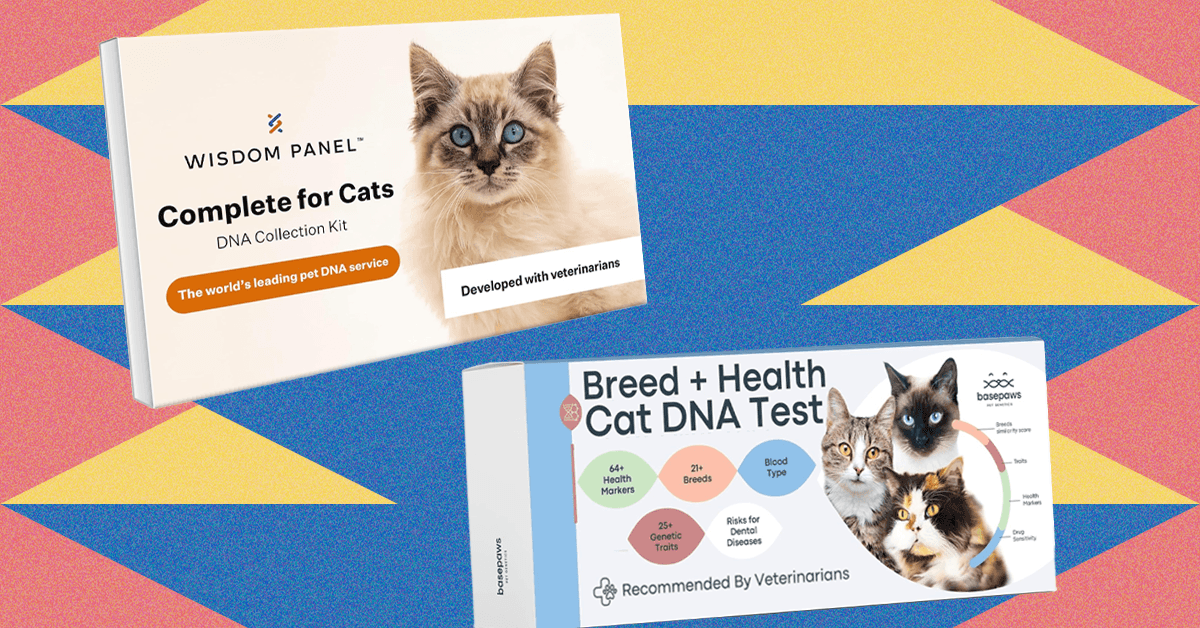 I Tried the Best At-Home Pet DNA Test Kits on My Two Cats (2025)