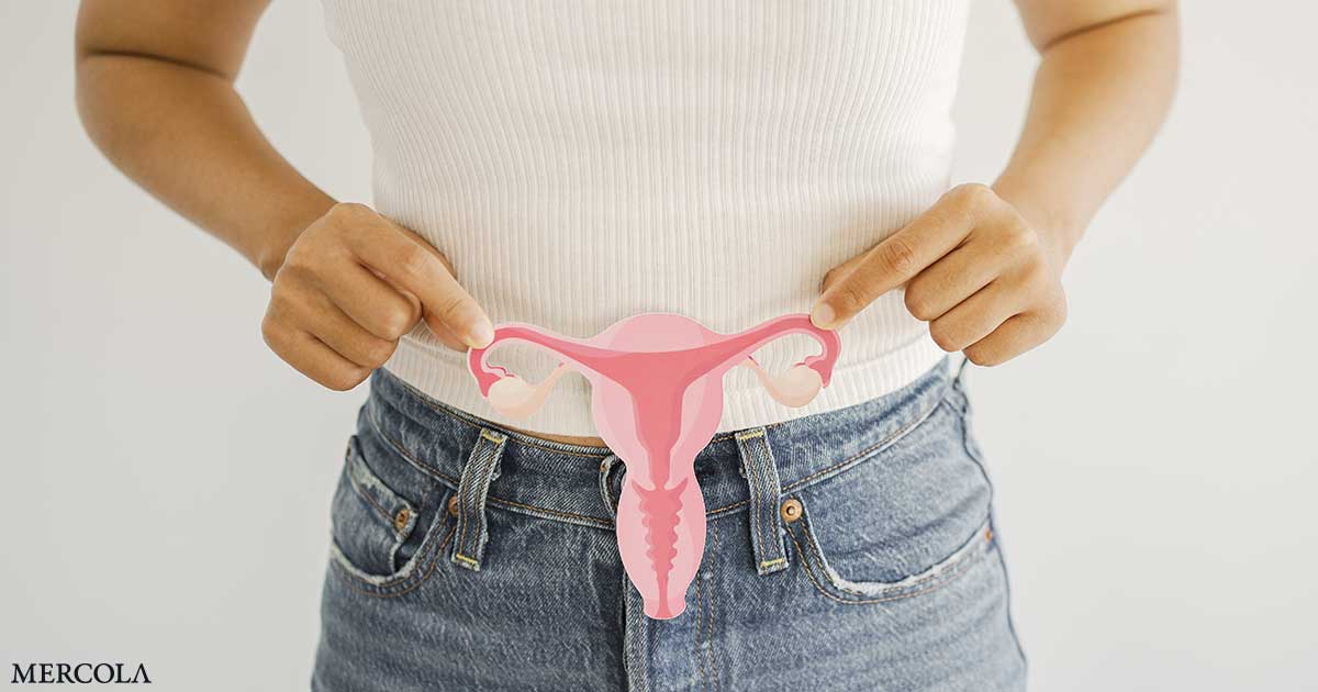 Adenomyosis Is a Hidden, Estrogen-Driven Cause of Severe Period Pain