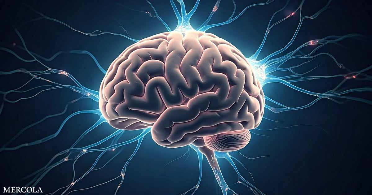 More Evidence That High Iron in the Brain Promotes Alzheimer’s