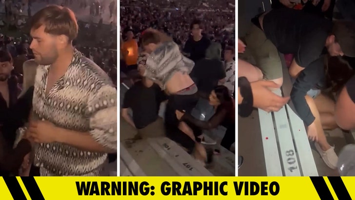 Alleged Rüfüs Du Sol Rose Bowl Brawler Arrested for Assault and Battery