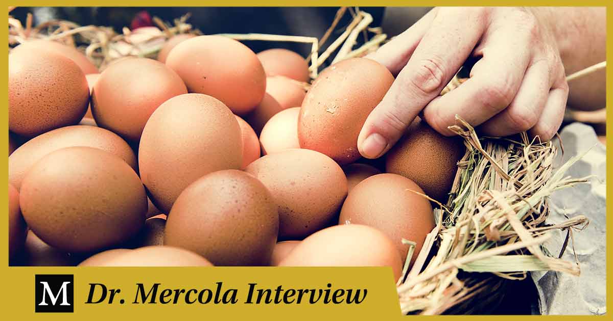 Ashley Armstrong – Changing the Food System from the Bottom Up