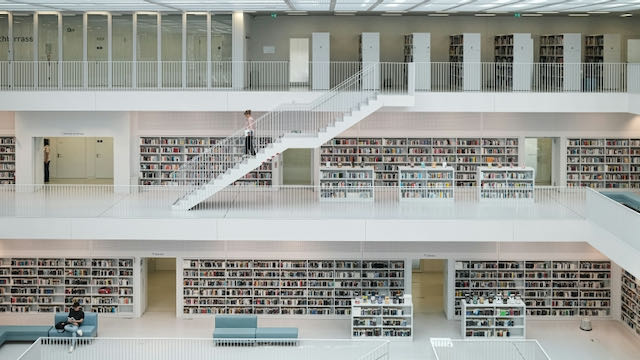 Have libraries undermined themselves? | Eurozine