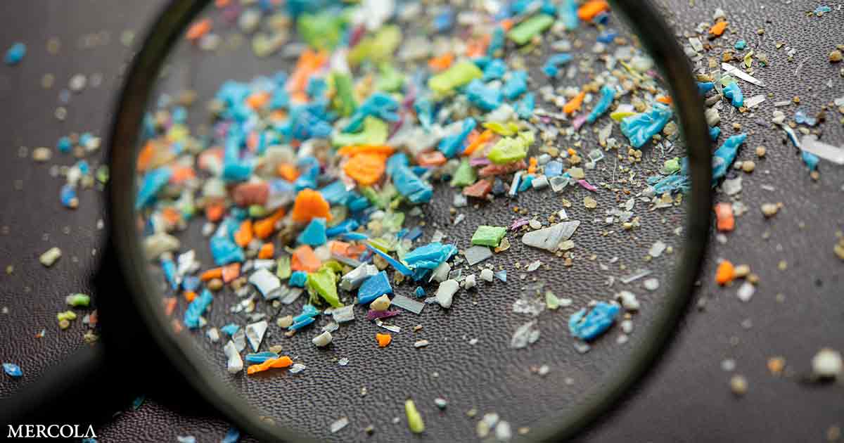 Microplastics Trigger Mitochondrial Stress in Human Liver Cells