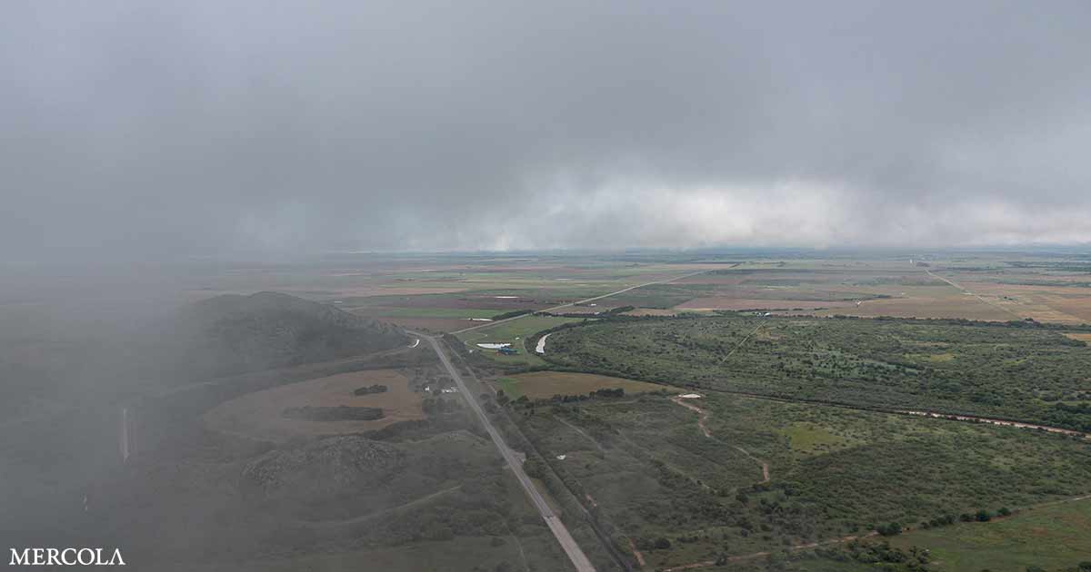 Scientists Detect Unusual Airborne Toxin in the US for the First Time