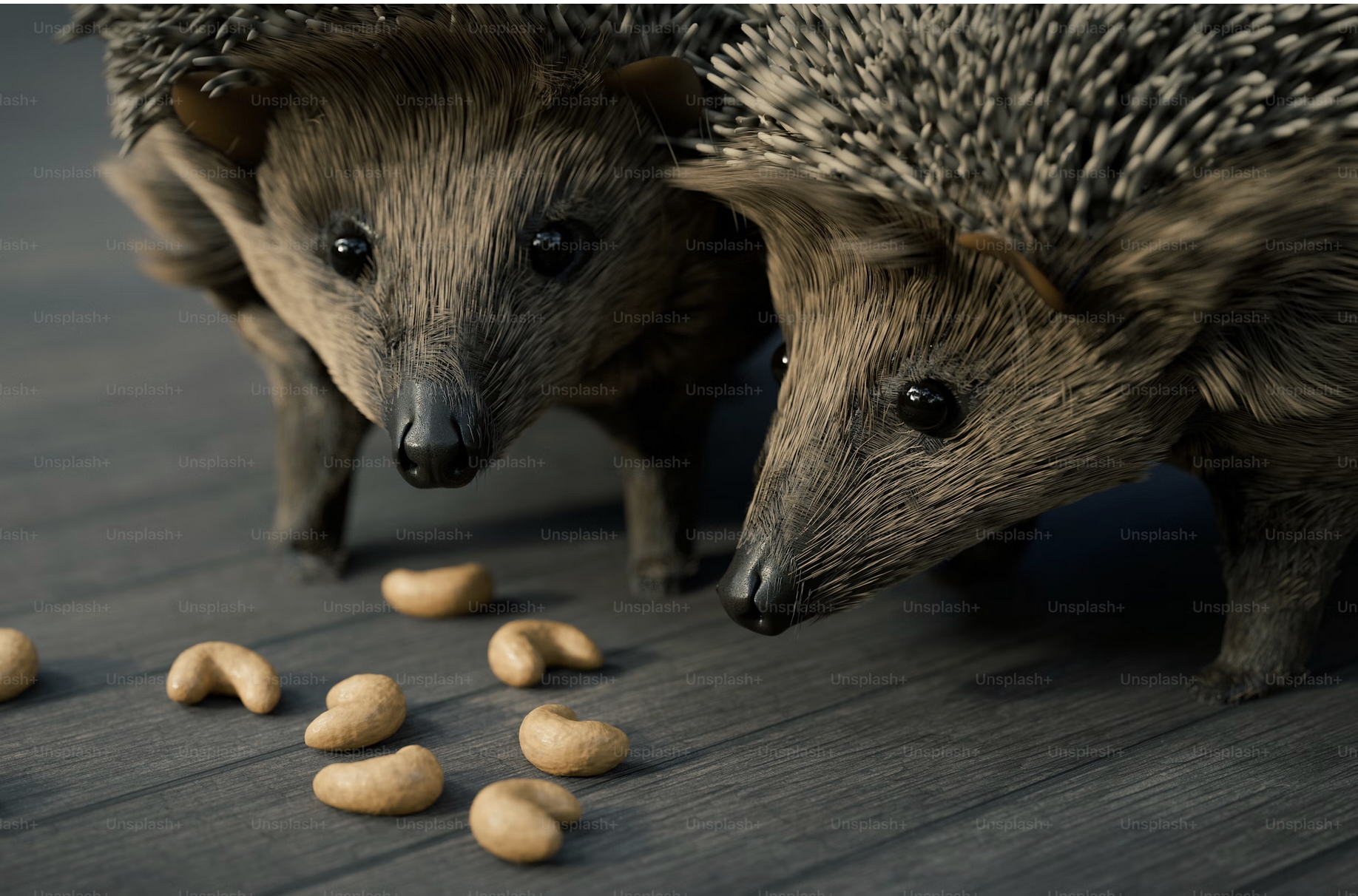 Links 9/6/2025 | naked capitalism