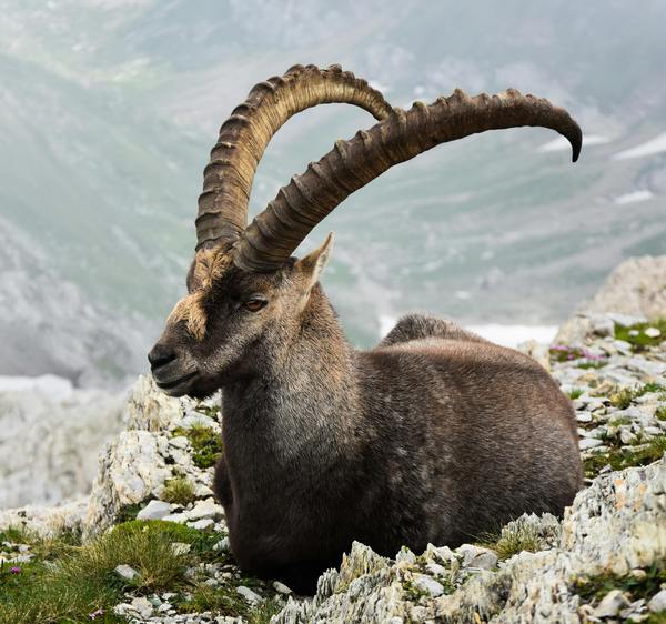 Links 9/21/2025 | naked capitalism