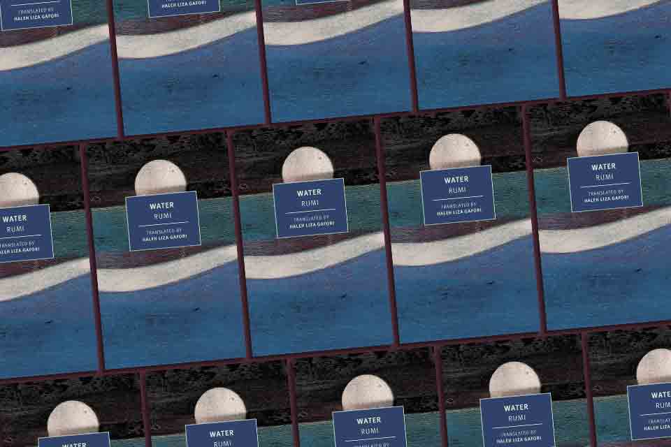 Water: Haleh Liza Gafori’s Rumi for Our Times, by Mina Raminsabet