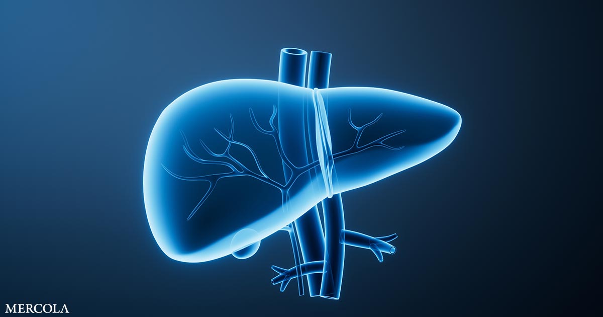 Try These 7 Herbs to Protect Your Liver Health