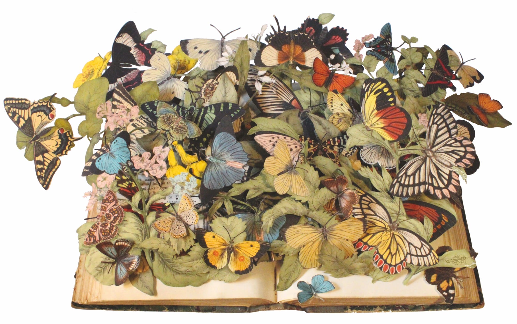 ‘Butterfly’ Explores 4,000 Years of Our Fascination with Lepidoptera in Art and Science — Colossal