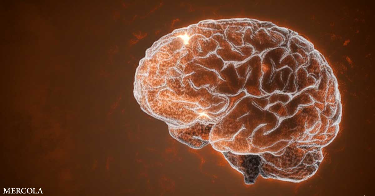 How Dietary Copper Affects Memory Loss and Brain Aging