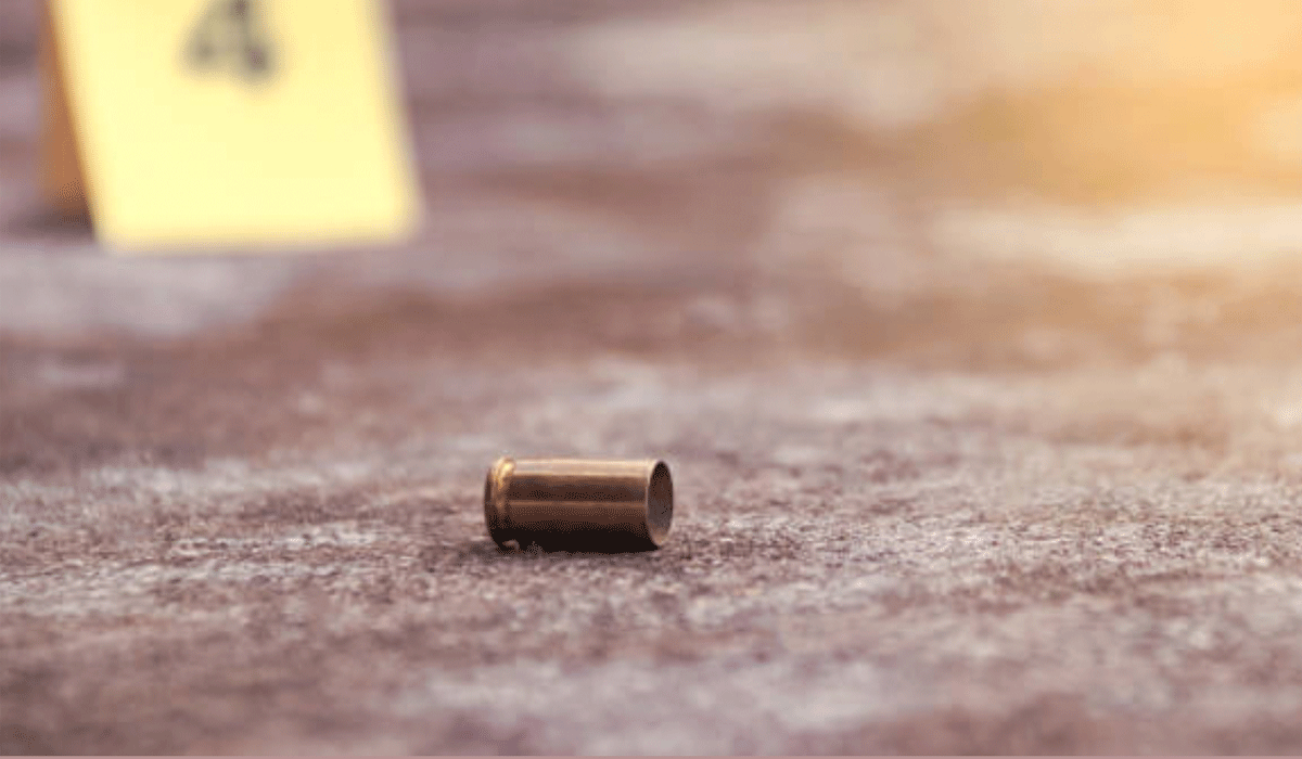 How to Tell the Difference Between a Lone Wolf and a Coordinated Effort by the Radical Left