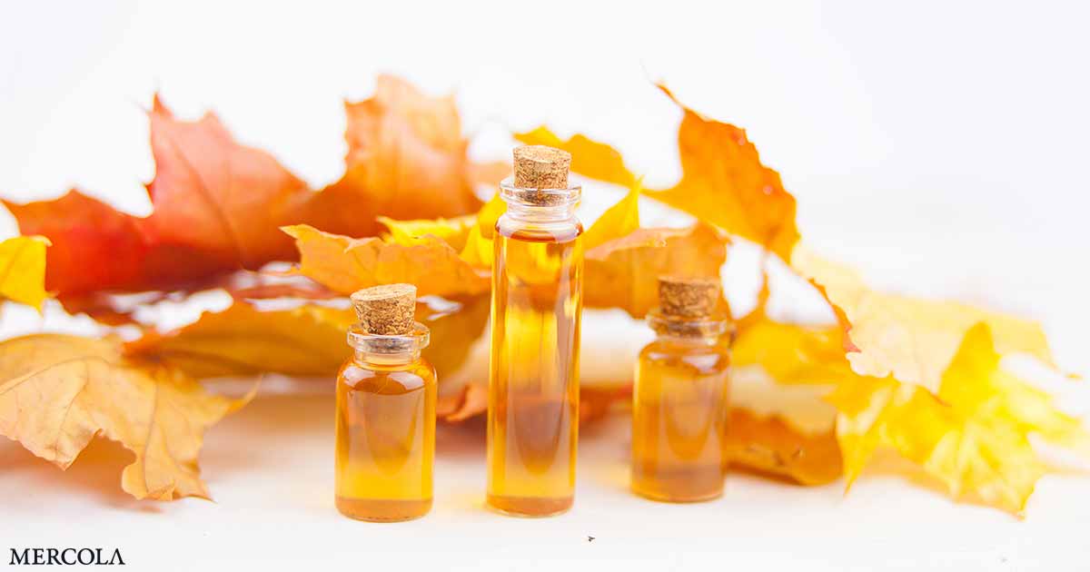 Natural Maple Compounds Block Cavity-Causing Bacteria