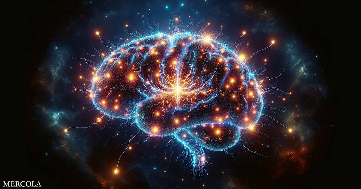 How Your Brain Rewrites Stress Responses