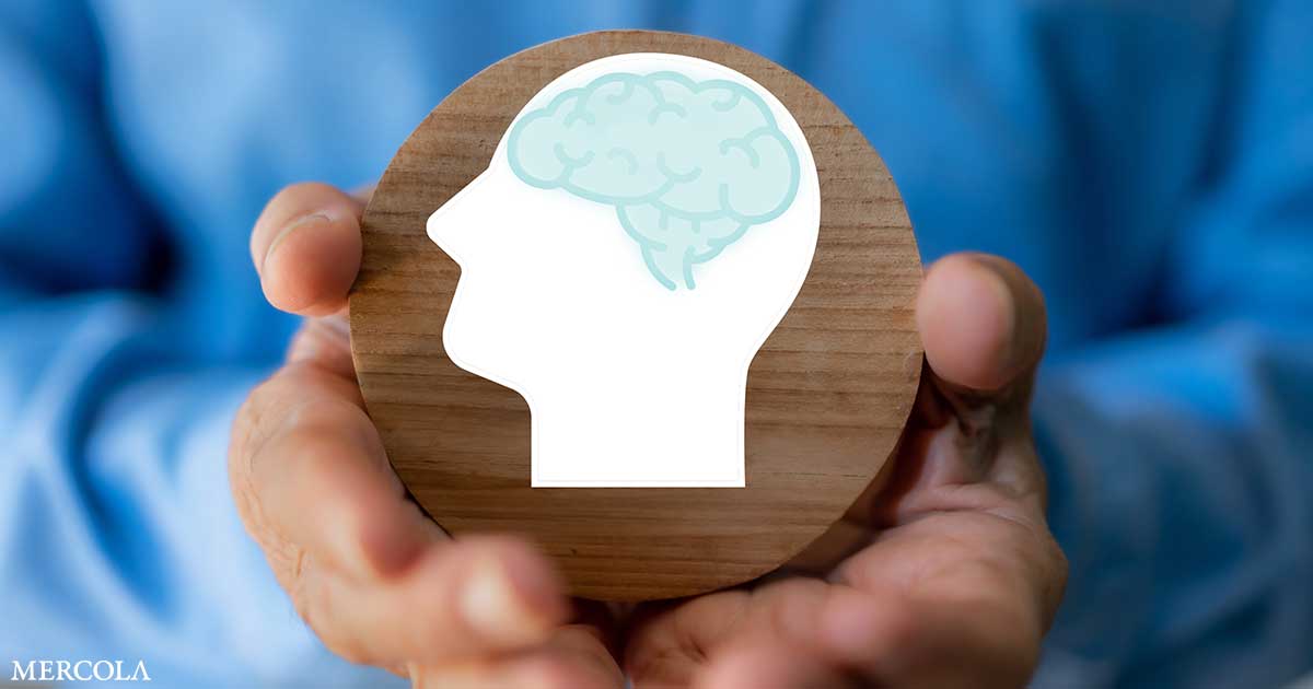 Prebiotics Influence Gut Bacteria That Raise Brain GABA Levels