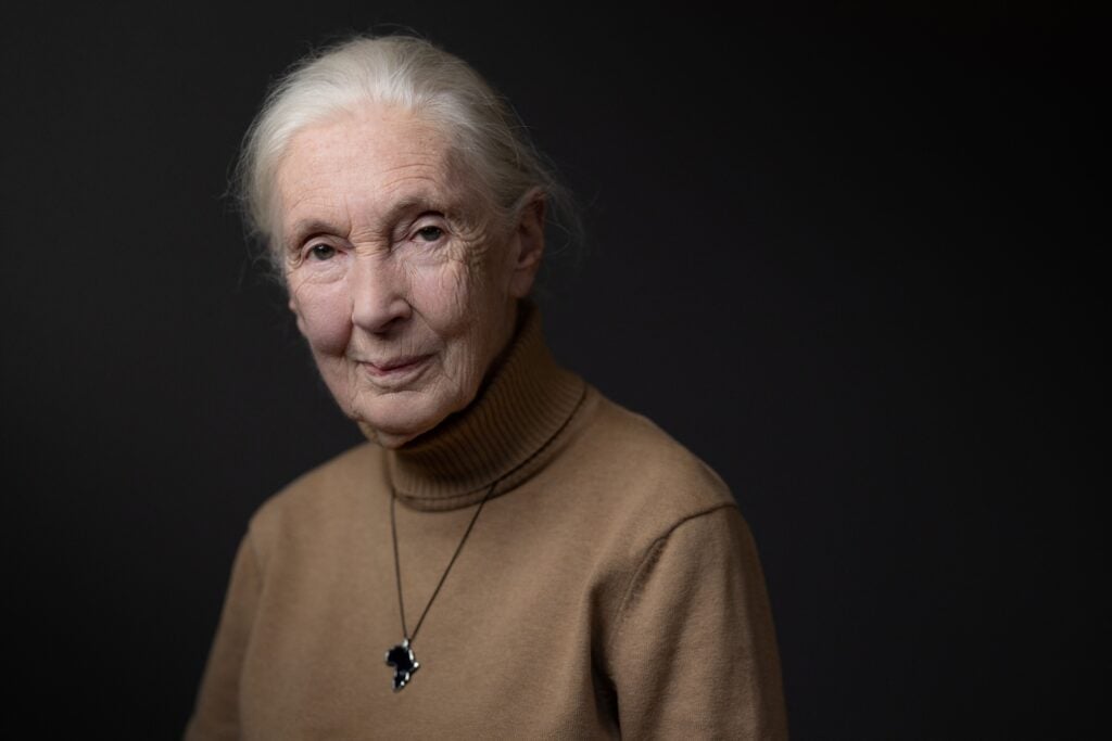 Jane Goodall Cause of Death: Legendary Conservationist Was 91