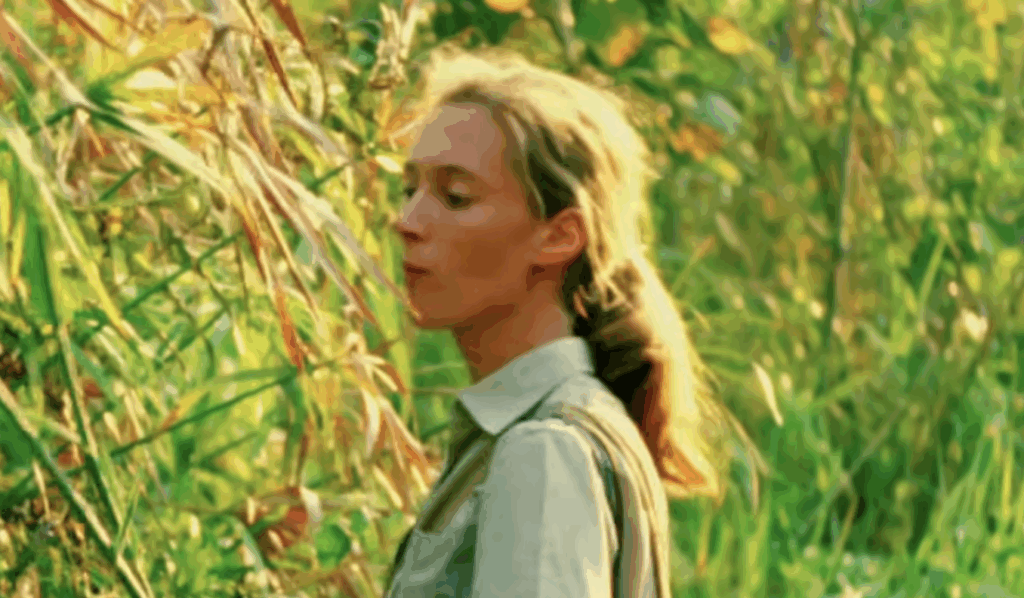 Remembering Jane Goodall (RIP): Watch Jane, the Acclaimed National Geographic Documentary